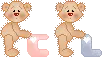 twin bears