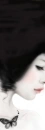 BLACK BUTTERFLY