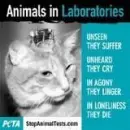 Stop animal testing
