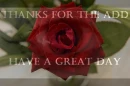 Thanks for the Add