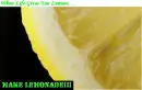 When Life Gives You Lemons...