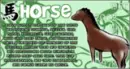 horse horoscope