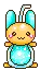 bunny bottle
