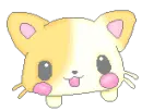 kitty