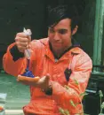 Pete Wentz