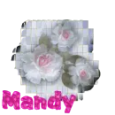 Flowers Mandy
