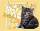 Sherry