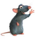 Mouse