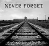 Auschwitz Never Forget