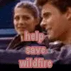 wildfire junior and kris save wildfire 