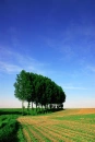 NATURL