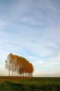 NATURL