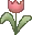 Red Tulip