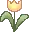 Yellow Tulip