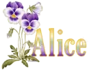 Alice