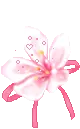 PINK FLOWER
