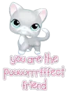 kitty 
