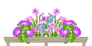 Double Butterfly Blinkie Rack