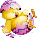 chick