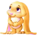 sweet bunny