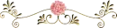 pink roses 