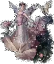 rose faery