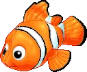 cute nemo