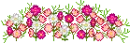 bed of flowers