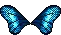 blue butterfly