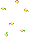 raining fruits