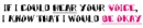your voice