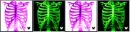 skeleton banner<3