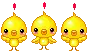 chicks