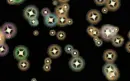 Stars flying around
