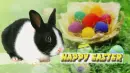 Bunny with an easter basket