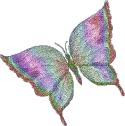 glitter butterfly