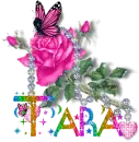 Tara - Diamond Pink Rose