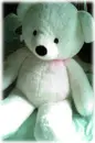 cute bear