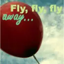 Fly