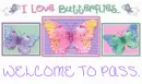 Welcome To Pass