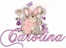 Carolina