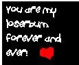 Loser