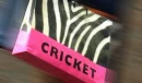 cricket bag