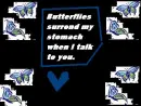 Butterflies