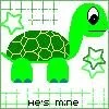 turtle