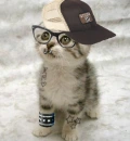 emo cat