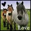 pony love