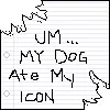 my dog