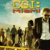 CSI Miami
