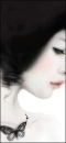 black butterfly